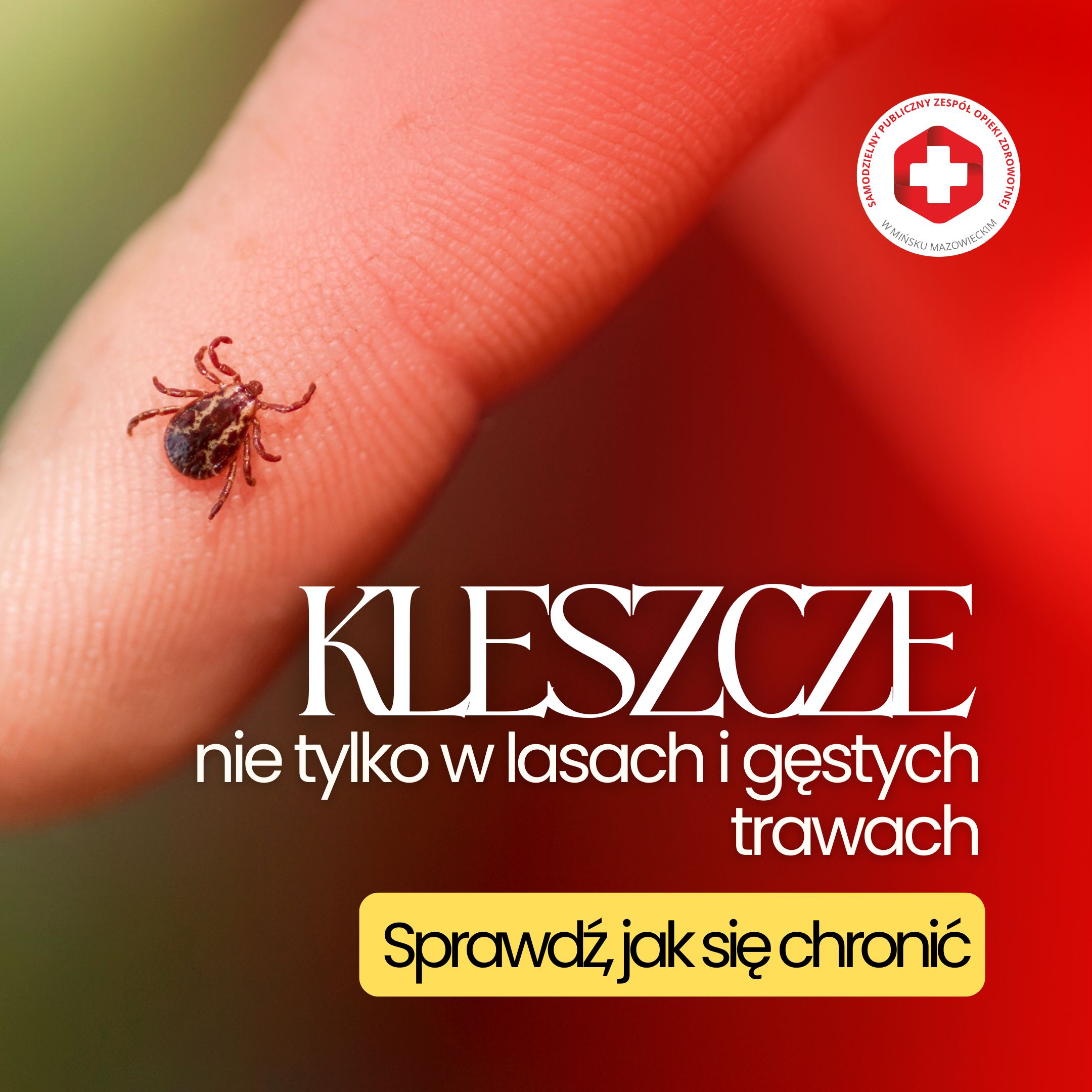 Read more about the article Kleszcze – małe i niebezpieczne. Co warto o nich wiedzieć?
