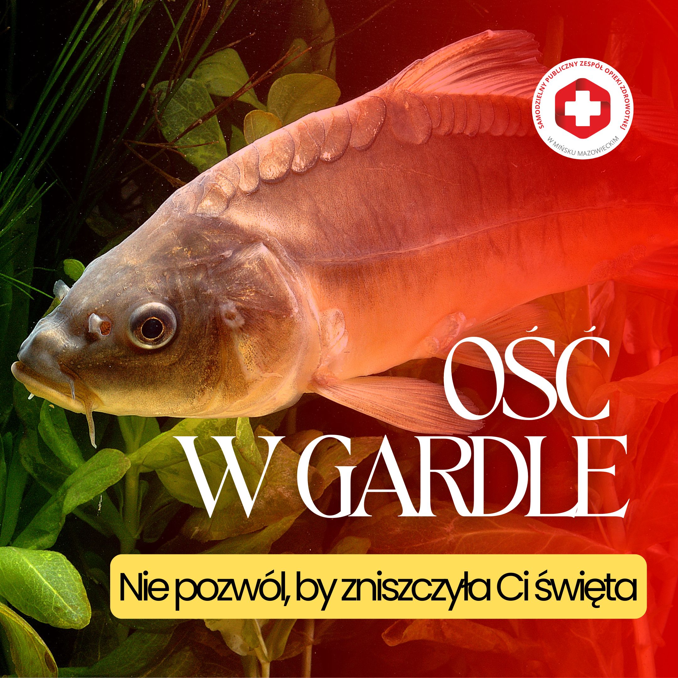 Read more about the article Ość w gardle – mały problem czy duży powód do alarmu?