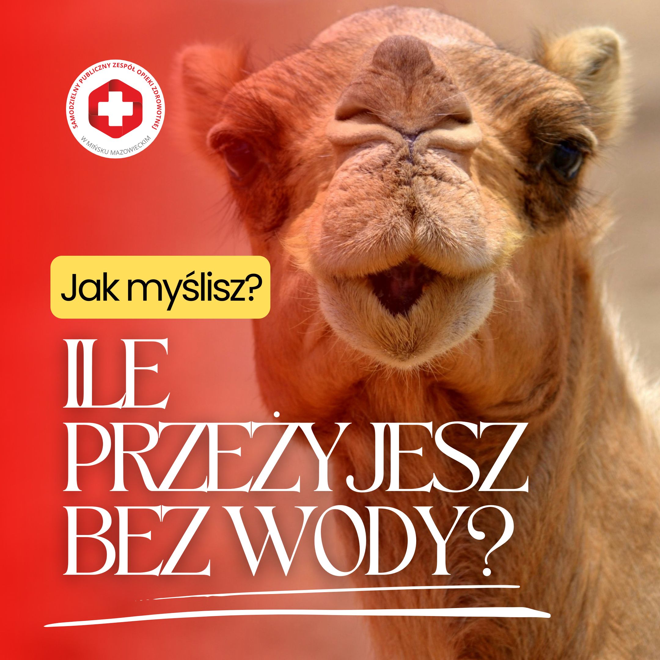 You are currently viewing Jak myślisz – ile człowiek może przeżyć bez wody?  Dzień? Tydzień? Prawidłowa odpowiedź zaskakuje większość osób