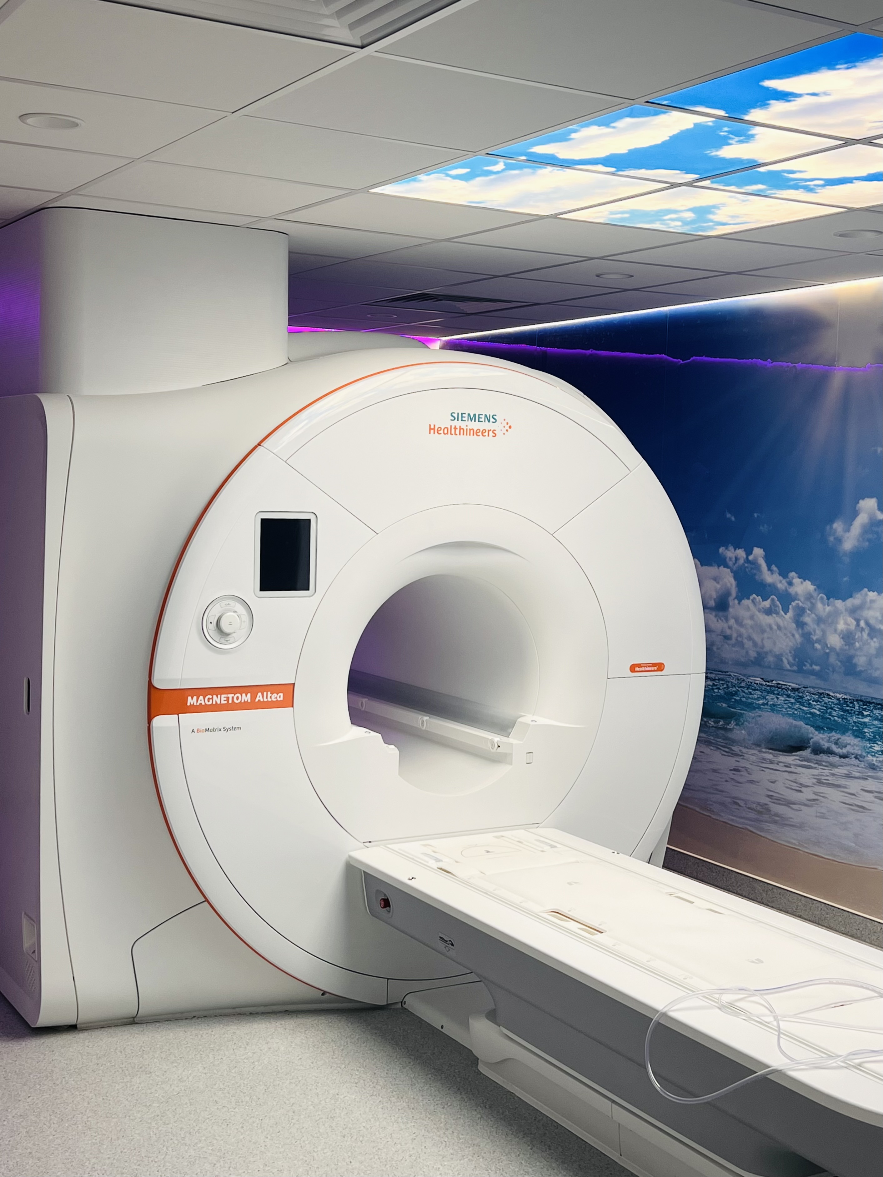 Read more about the article REZONANS MAGNETYCZNY