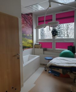 Sala Wiśniowy Sad 1